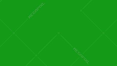 Flying dove green screen motion graphics