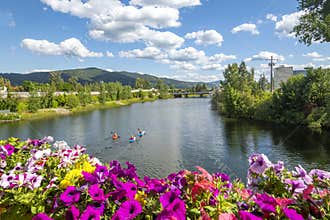 A group of kayakers under the Cedar St Bridge in Sandpoint, Idaho, on Lake Pend Oreille