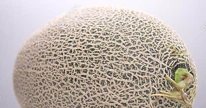 Melon rotating, Cantaloupe melon on gray background