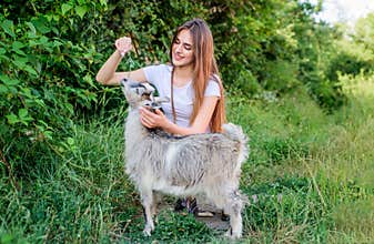 Every animal is different. woman vet feeding goat. farm and farming concept. Animals are our friends. happy girl love