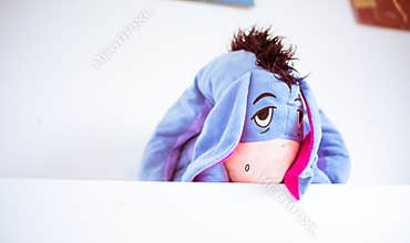 Eeyore donkey from winnie the pooh