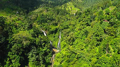 Powerful Tropical Waterfall in Green Rainforest. Waterfall near Rice Field.