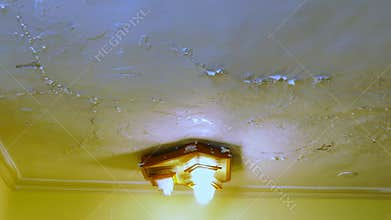 Peeling paint due to leak on a ceiling as result of water damage. A common house insurance claim