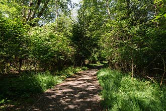 easy hiking trail in the park near Killarney Lake Bowen island british columbia