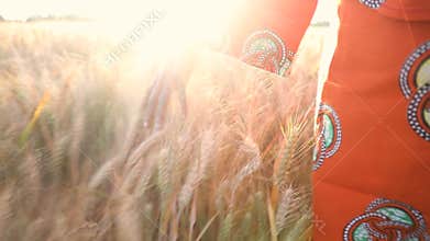 African woman farmer in traditional clothes touching a field of crops at sunset or sunrise