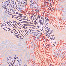 Underwater ocean coral reef plants, corals.