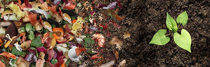 Composted Soil Cycle