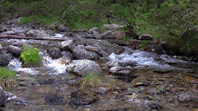Abounding mountain creek from a Pyrenees mountain in Spain, slow motion footage