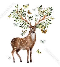 Hand painted watercolor deer isolated on white background