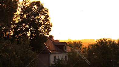 Golden sunset light shines through the foliage of trees, counter light, old house, panorama of city roofs in the