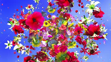 Exploding colorful flowers