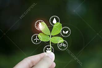 Concept of love, ecology world To sustainability