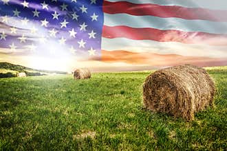 American farm field