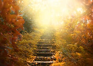 Autumn background, stairs to the sky. amazing mysterious road steps