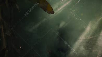 Young blonde woman in black dress