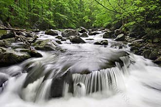 Smoky Mountains Waterfall