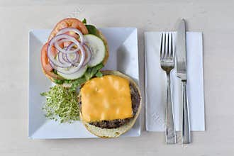 Gourmet Cheese Burger 2