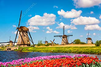 Colorful spring landscape in Netherlands, Europe. Famous windmills in Kinderdijk village with a tulips flowers flowerbed in