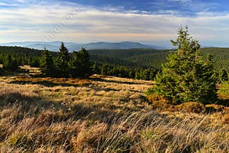 Beautiful landscape with forest and sky on mountains. Pure nature around JesenÃ­ky - Czech Republic - Europe