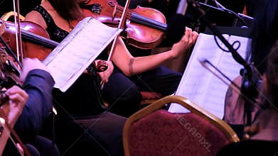 Violinists. Professional performance of the symphony municipal orchestra, detail of stringed instruments. Jazz concert or opera. C