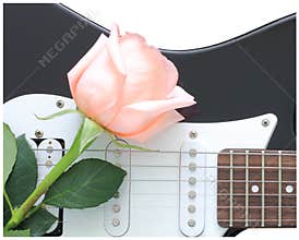 Rose guitar