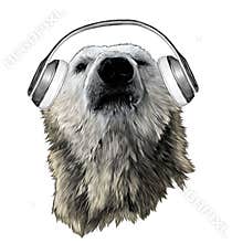 Proud bear head looking confidently forward with headphones