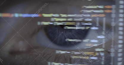 Close up of programmer eye with programming code reflection