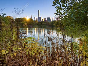 Central Park, New York. Urban shelter from noise and violent sounds of the big city.