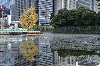 Tokyo - autumn in center, Japan