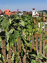 Backyard garden in the Emmental Switzerland