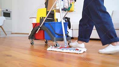 Young woman with cleaning equipment at home