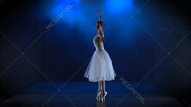 Delightful ballerina in white tutu performing classical ballet. Slow motion.