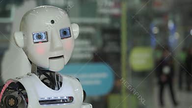 Talking humanoid android robot