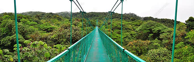 Cloud Forest hanging bridge, Costa Rica