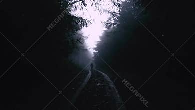A man walking away from the camera and standing on a muddy track through an atmospheric conifer forest. On a moody, misty day