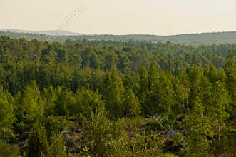 Nature of Israel .
