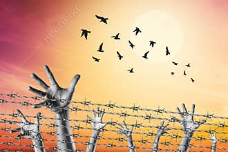hands rising behind barbered wire