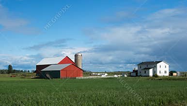 Farm House & Barns