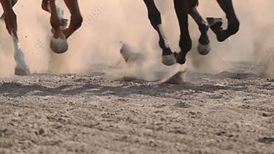 The feet of the horses at the racetrack