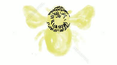 Bumble Bee Drawing Time Lapse 2D Animation