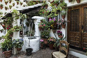 Entrance to a house in the center of the city of CÃ³rdoba completely covered with flower pots.