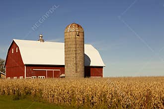Red Barn, Silo and Corn Field