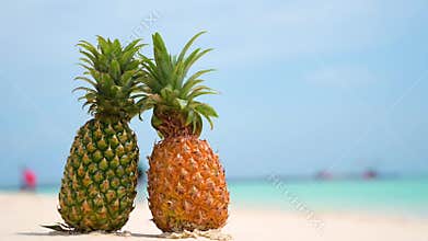 Glasses pineapples are located on the beach by the sea in the hot sun, setting the concept for summer