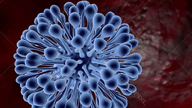 Virus or bacterium under the microscope in motion, studying new threats of infection