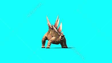 Stegosaurus Attacks Dinosaurs Blue Screen 3D Rendering Animation