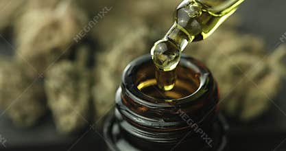 CBD hemp oil in a droplet with buds