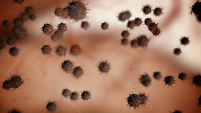 Coronavirus Inside a Human Body