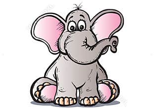 Baby elephant