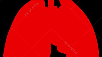 Heart pumping deoxygenated blood to lungs and receiving oxygenated blood from it in slow motion