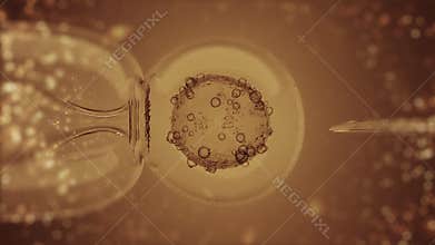 IVF in vitro fertilization through a microscope on gold